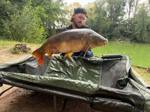 Mirror Carp