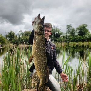 Northern Pike