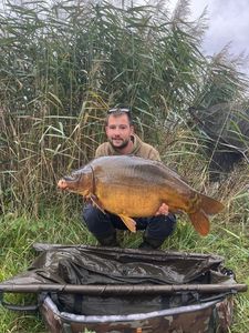 Mirror Carp