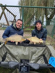 Crucian Carp