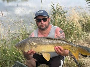 Mirror Carp
