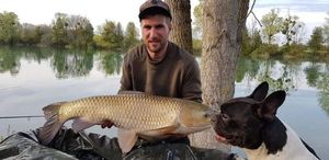 Grass Carp