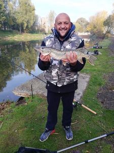 Northern Pike