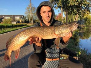 Northern Pike