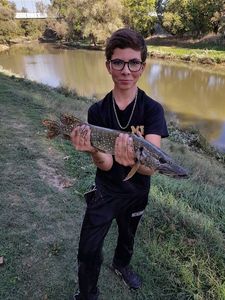 Northern Pike
