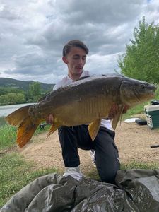 Mirror Carp