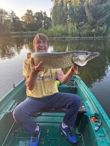 Northern Pike