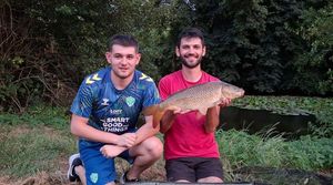 Common Carp