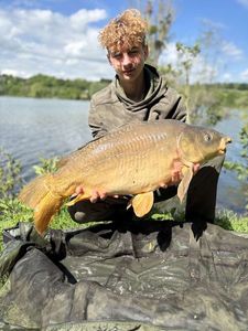 Mirror Carp