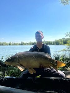 Common Carp