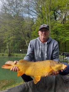 Koï Fish