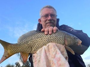 Common Carp