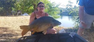 Mirror Carp