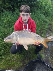 Mirror Carp