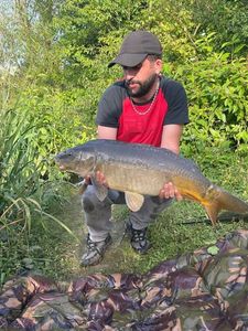 Mirror Carp