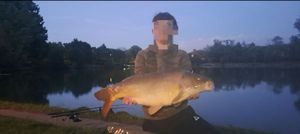 Mirror Carp