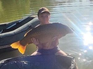 Common Carp