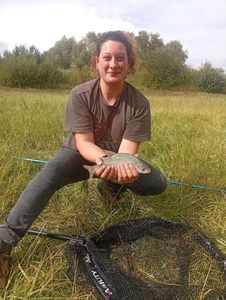 Common Bream