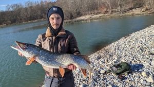 Northern Pike