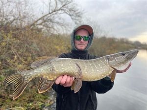 Northern Pike