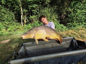 Mirror Carp