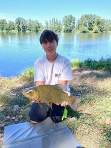 Tench
