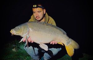 Mirror Carp
