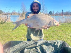 Common Bream