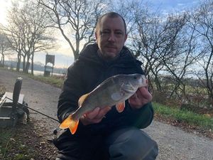 European Perch