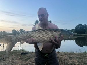 Grass Carp