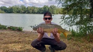 Mirror Carp