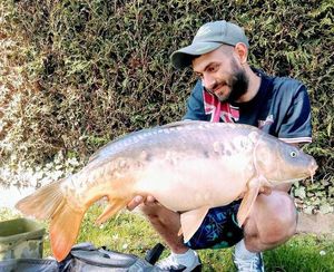 Mirror Carp