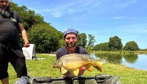 Mirror Carp