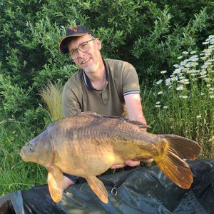 Mirror Carp