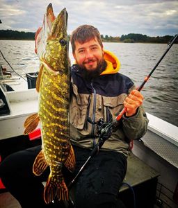 Northern Pike