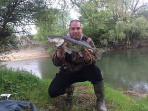 Zander