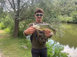 Largemouth Bass