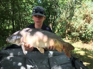 Mirror Carp