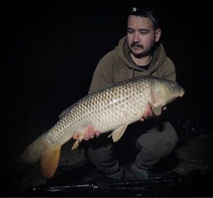 Common Carp