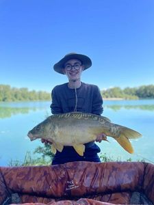Mirror Carp