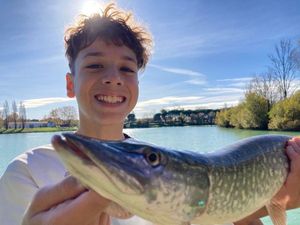 Northern Pike