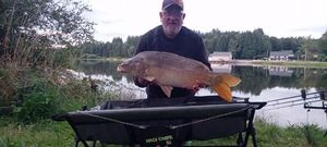 Mirror Carp