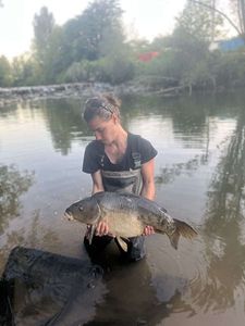 Mirror Carp