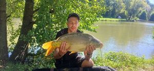 Mirror Carp
