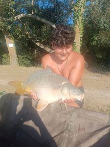 Mirror Carp