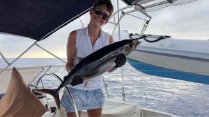 Albacore