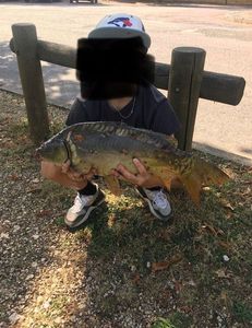 Leather Carp