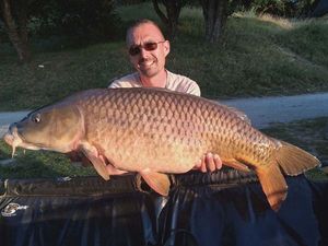 Common Carp