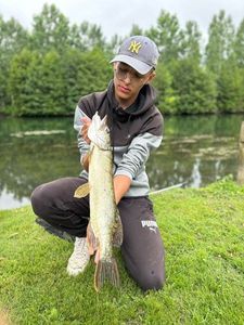 Northern Pike