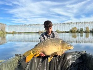 Mirror Carp